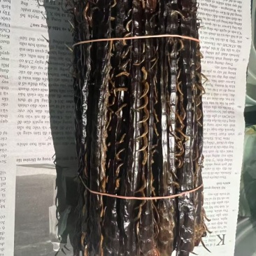 黑头蜈蚣干货，18-24公分，现货