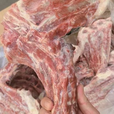 羊方肩​带排带肉可分割，30斤装，全国发货