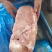 前腿肉
