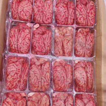 精品猪脑花！每件96个，都是新货！腾惠更多客户的选择全国