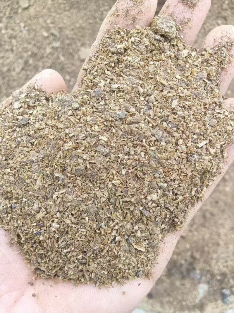 酱油渣：蛋白26脂肪8，水分38个，新鲜度好，替代40%豆粕