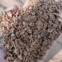 酱油渣：蛋白26脂肪8，水分38个，新鲜度好，替代40%豆粕
