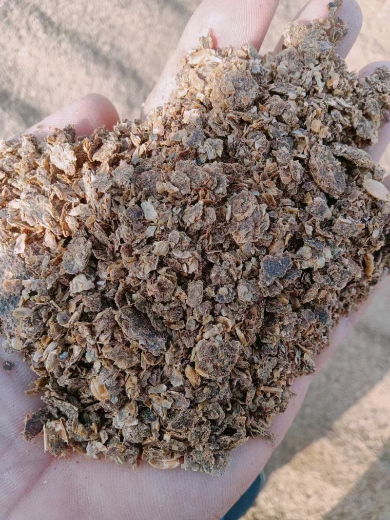 酱油渣：蛋白26脂肪8，水分38个，新鲜度好，替代40%豆粕