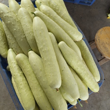 新鲜蔬菜