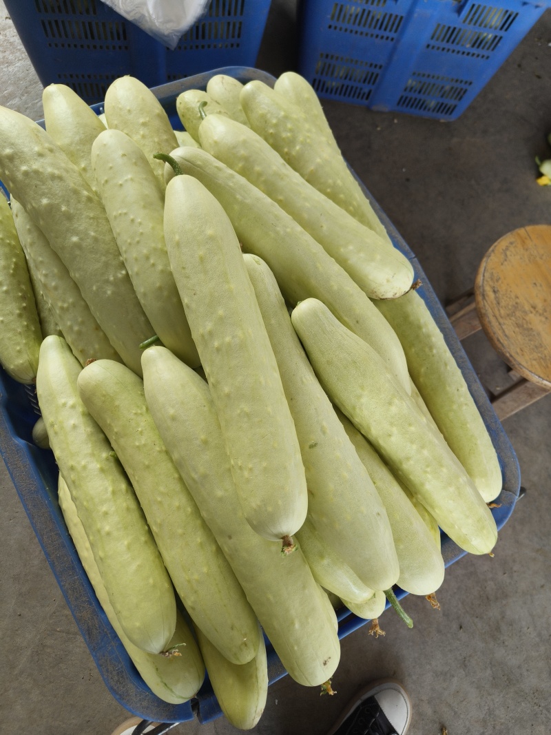 新鲜蔬菜