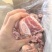 肉骨块，3.5一斤