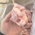 肉骨块，3.5一斤