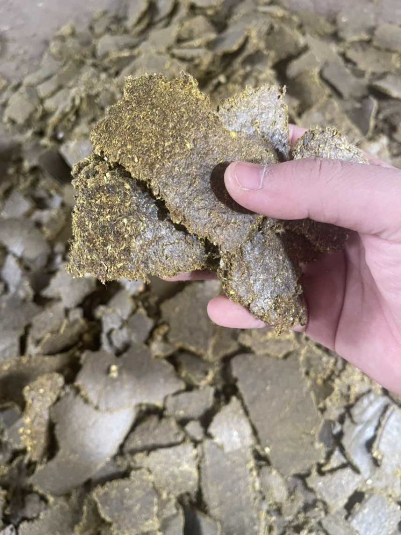 优质菜籽饼油脂豆饼豆粕可下地可施肥不伤根不伤地