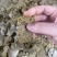 优质菜籽饼油脂豆饼豆粕可下地可施肥不伤根不伤地
