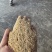 四川统糠各种规格按需生产量大从优