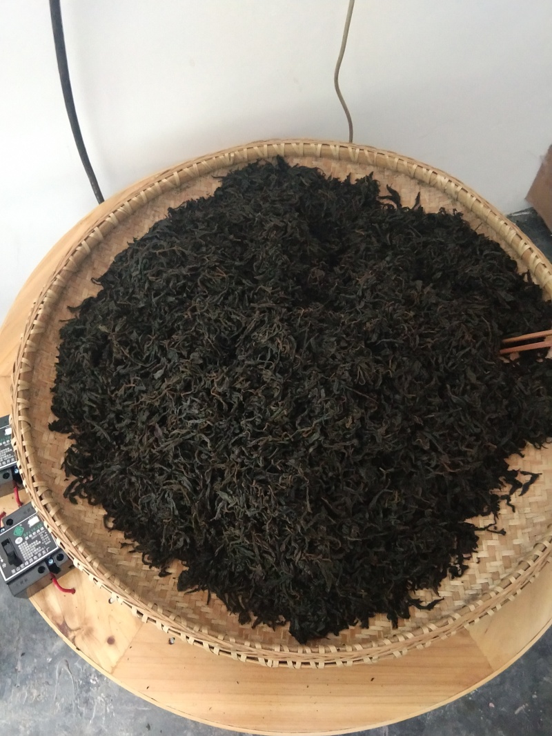 湖南南湘西青钱柳茶叶