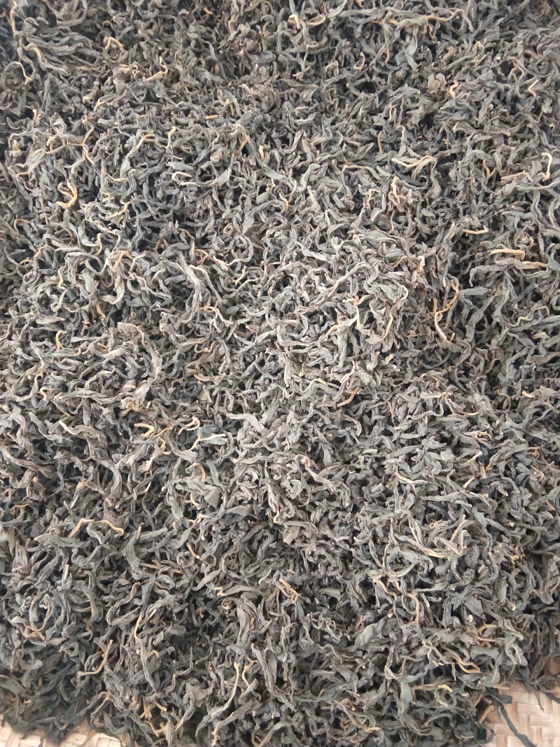 湖南南湘西青钱柳茶叶