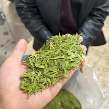 龙井