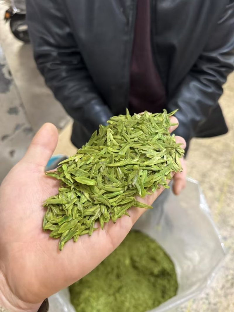 龙井
