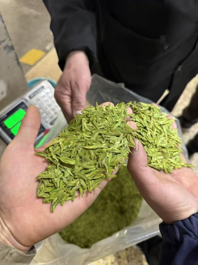 龙井