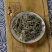 车前草切断车前草泡茶无硫***干货新货，品质保证，量大从优