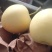 黄冠梨中果
