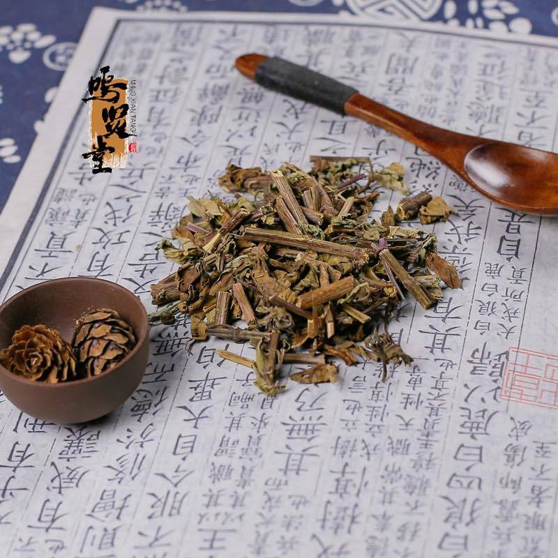 猫须草新鲜当季肾茶肾精茶清凉泡水，质量保证，量大从优