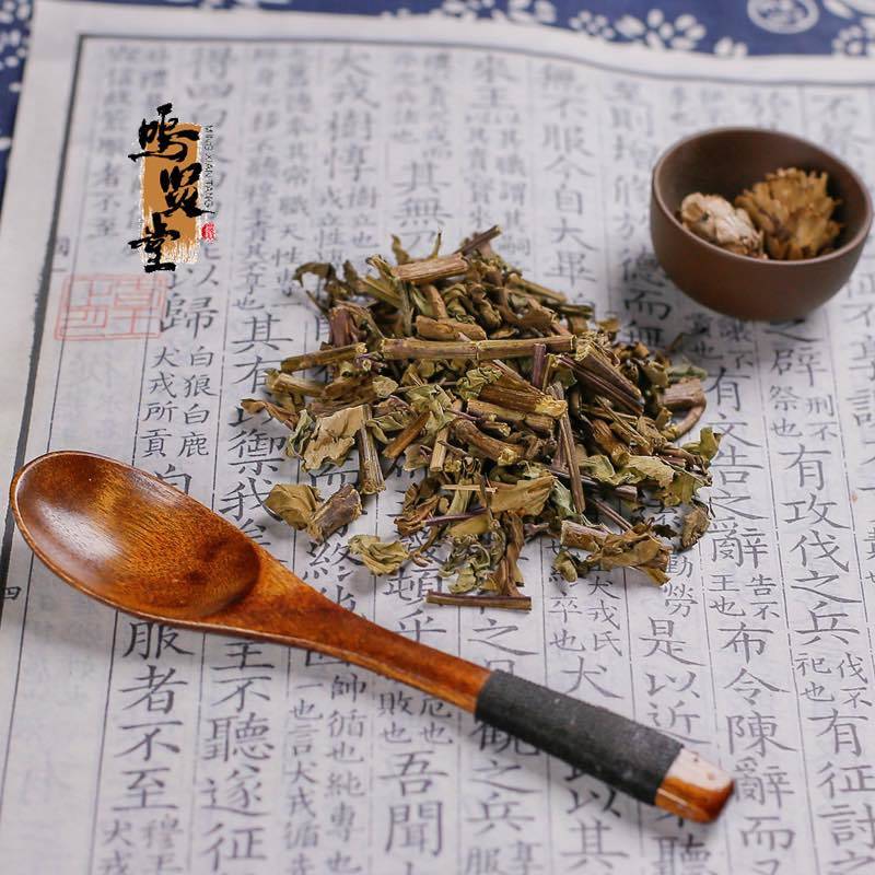 猫须草新鲜当季肾茶肾精茶清凉泡水，质量保证，量大从优