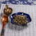 猫须草新鲜当季肾茶肾精茶清凉泡水，质量保证，量大从优
