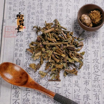 猫须草新鲜当季肾茶肾精茶清凉泡水，质量保证，量大从优