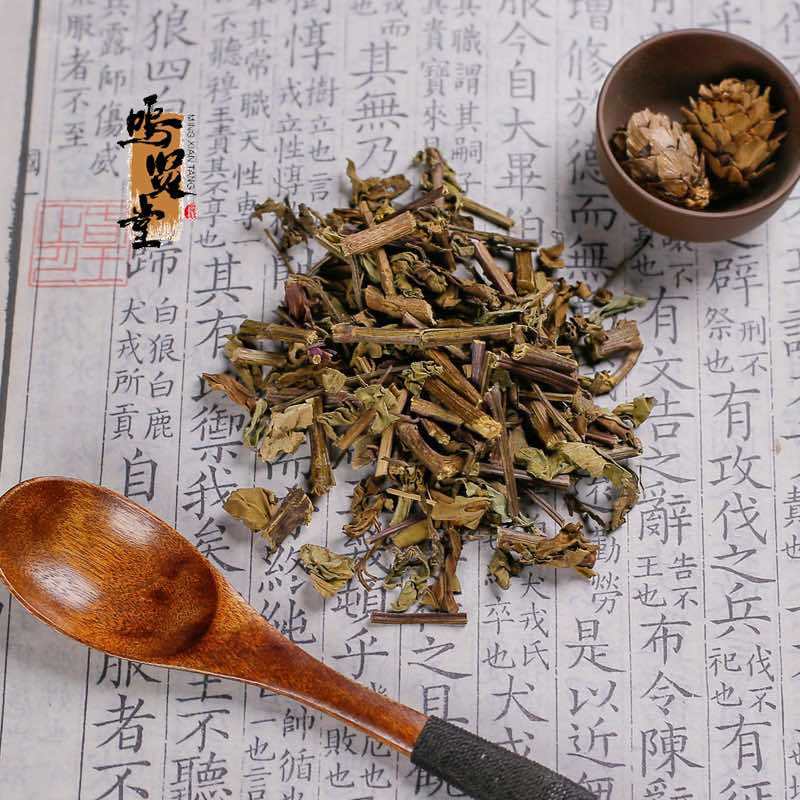 猫须草新鲜当季肾茶肾精茶清凉泡水，质量保证，量大从优