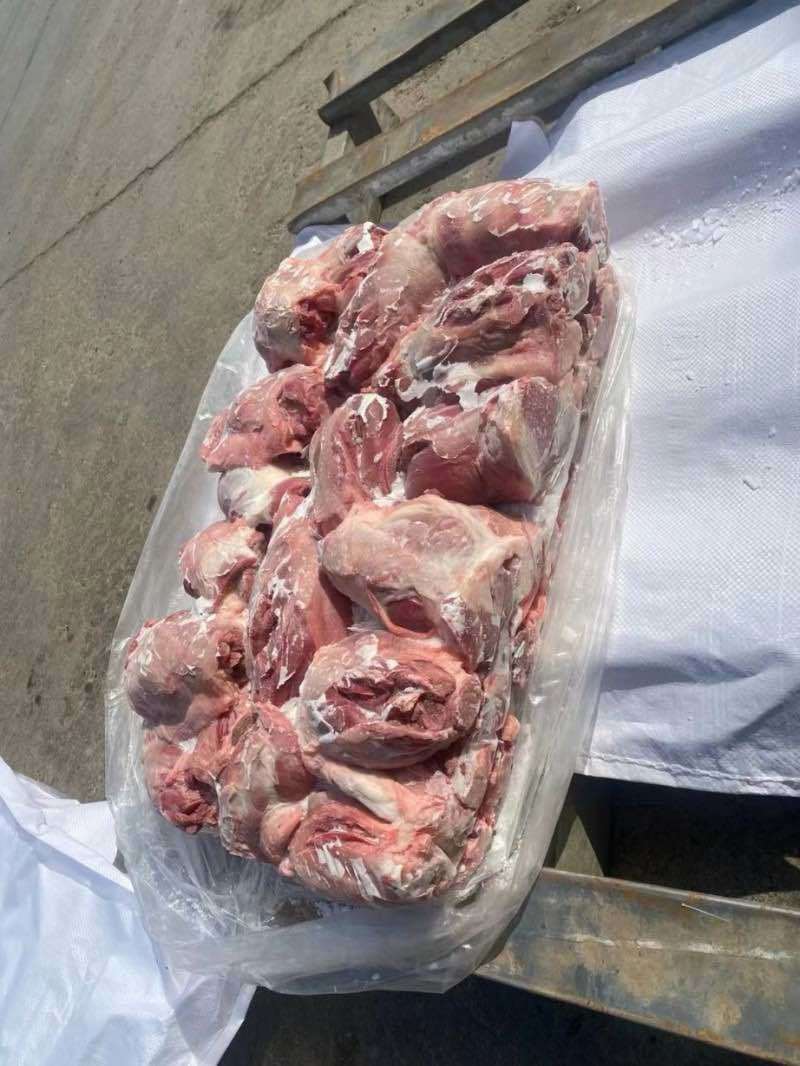 母猪龟腱，猪腱子，腱子肉