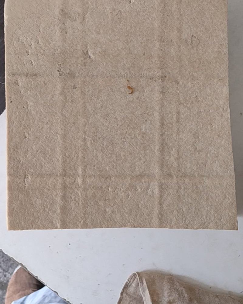 酸汤豆腐