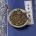精选墨旱莲中医药材正品新货，质量保证，量大从优