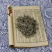精选墨旱莲中医药材正品新货，质量保证，量大从优