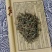 精选墨旱莲中医药材正品新货，质量保证，量大从优