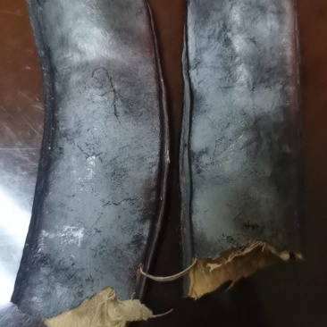 皂角