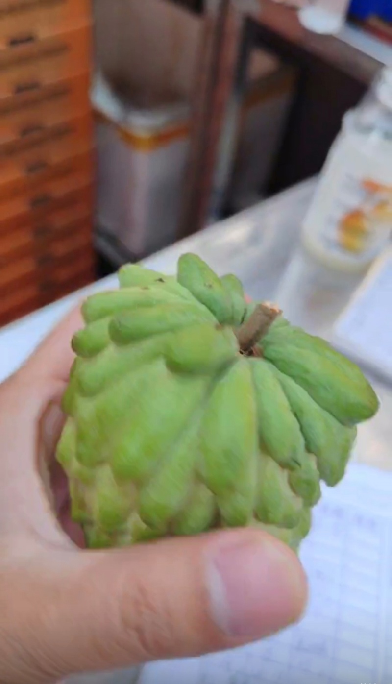 释迦果