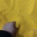 谷子