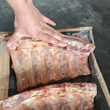 3648牛肋眼骨​仅售7.5/斤量大可谈​电商、牛排火