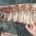 3648牛肋眼骨​仅售7.5/斤量大可谈​电商、牛排火