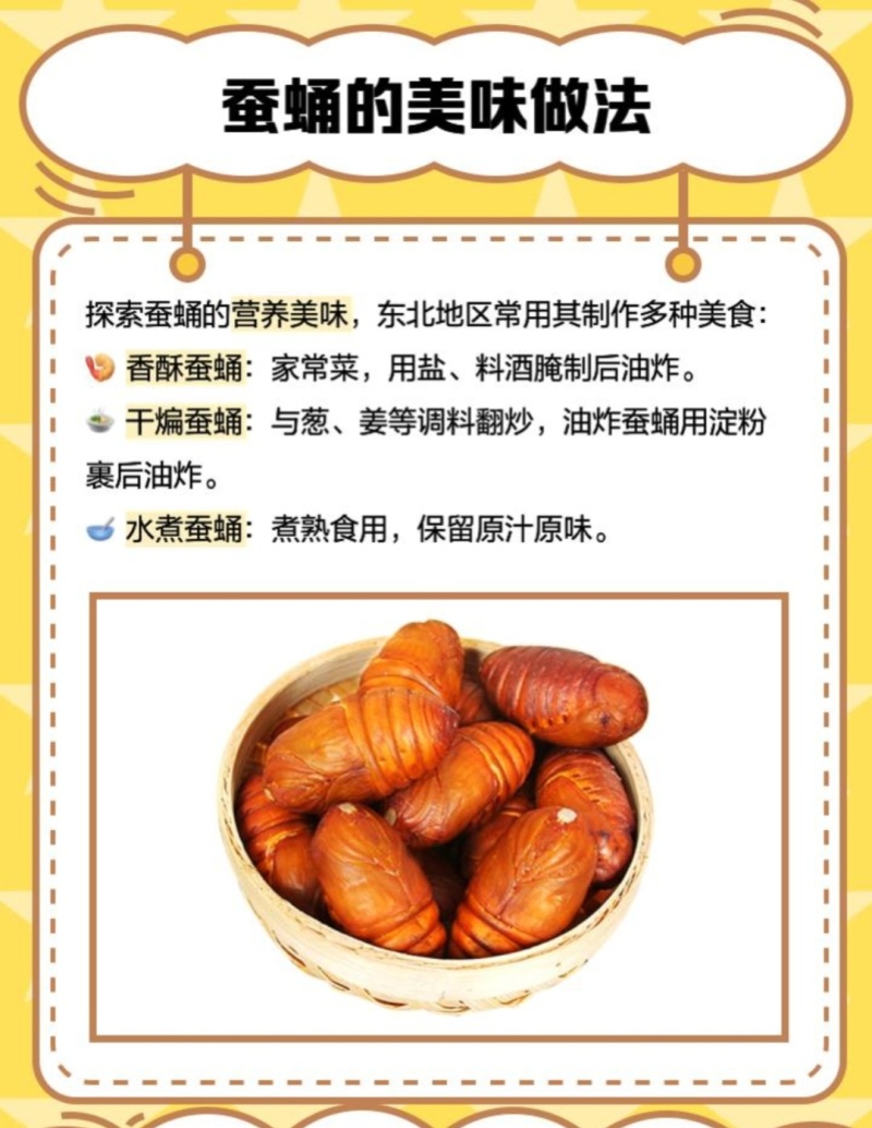 蚕蛹