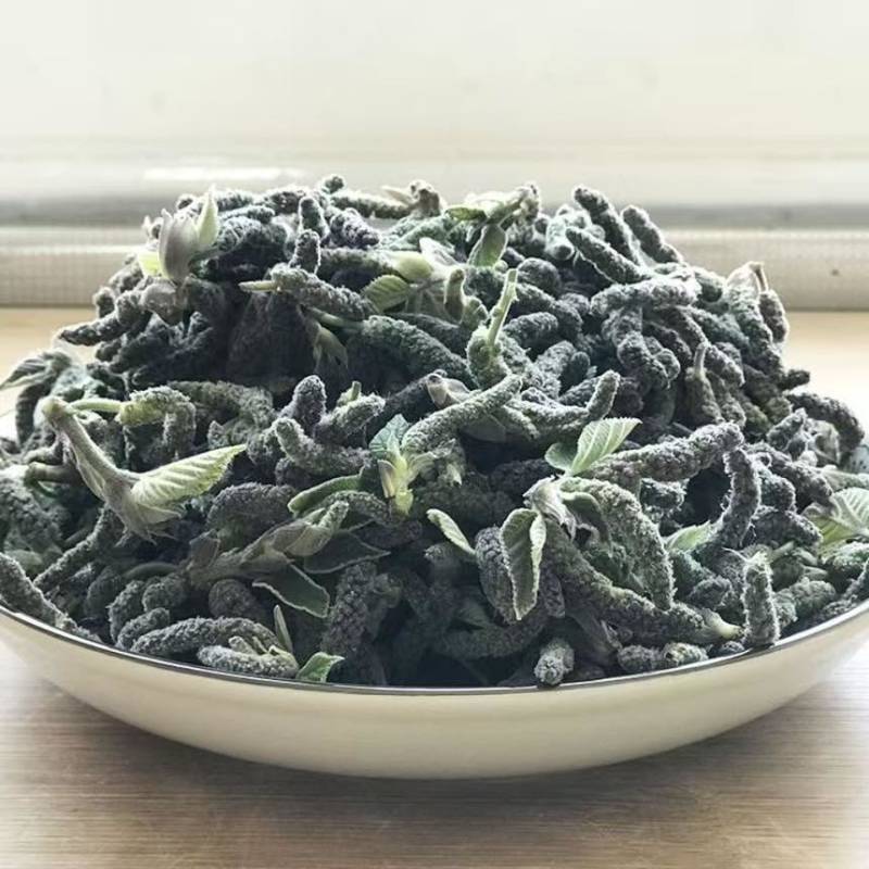 枸树穗枸棒锤毛毛虫