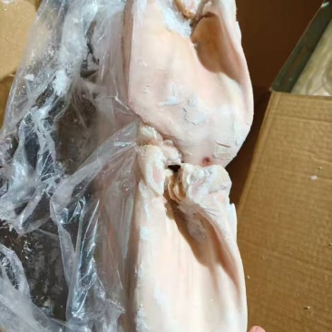 肥猪纯干耳朵35片左右