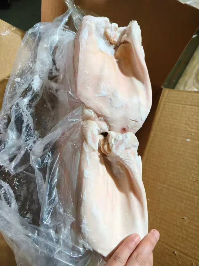 肥猪纯干耳朵35片左右