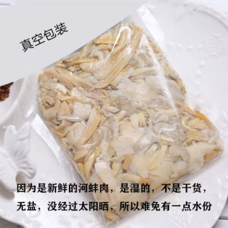 海蚌