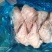 兔子腿纯干货，一件9.5kg
