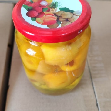 广场直销批发枇杷罐头