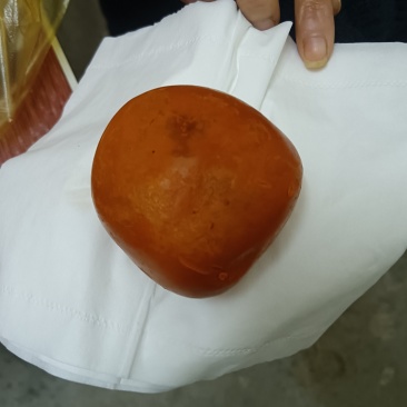 天然牛黄丸
