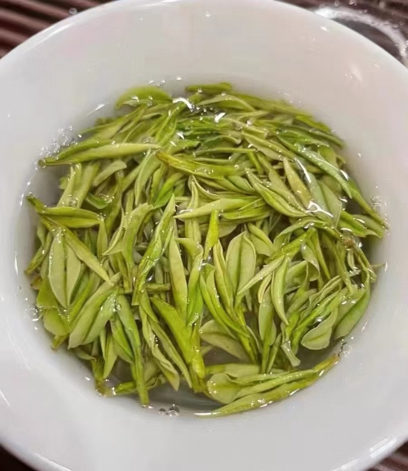 安吉白茶
