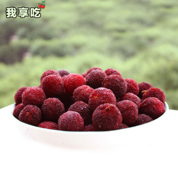云南石屏杨梅