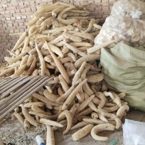 精品丝瓜络丝瓜络个丝瓜络段货量大干净无杂耐储存运输按需