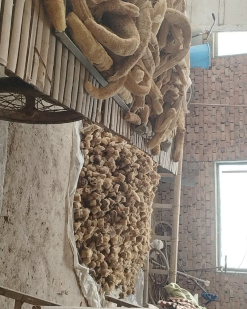 精品丝瓜络丝瓜络个丝瓜络段货量大干净无杂耐储存运输按需