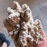 玉米淀粉面淀粉30灰分5蛋白9纤维10到15常年有货