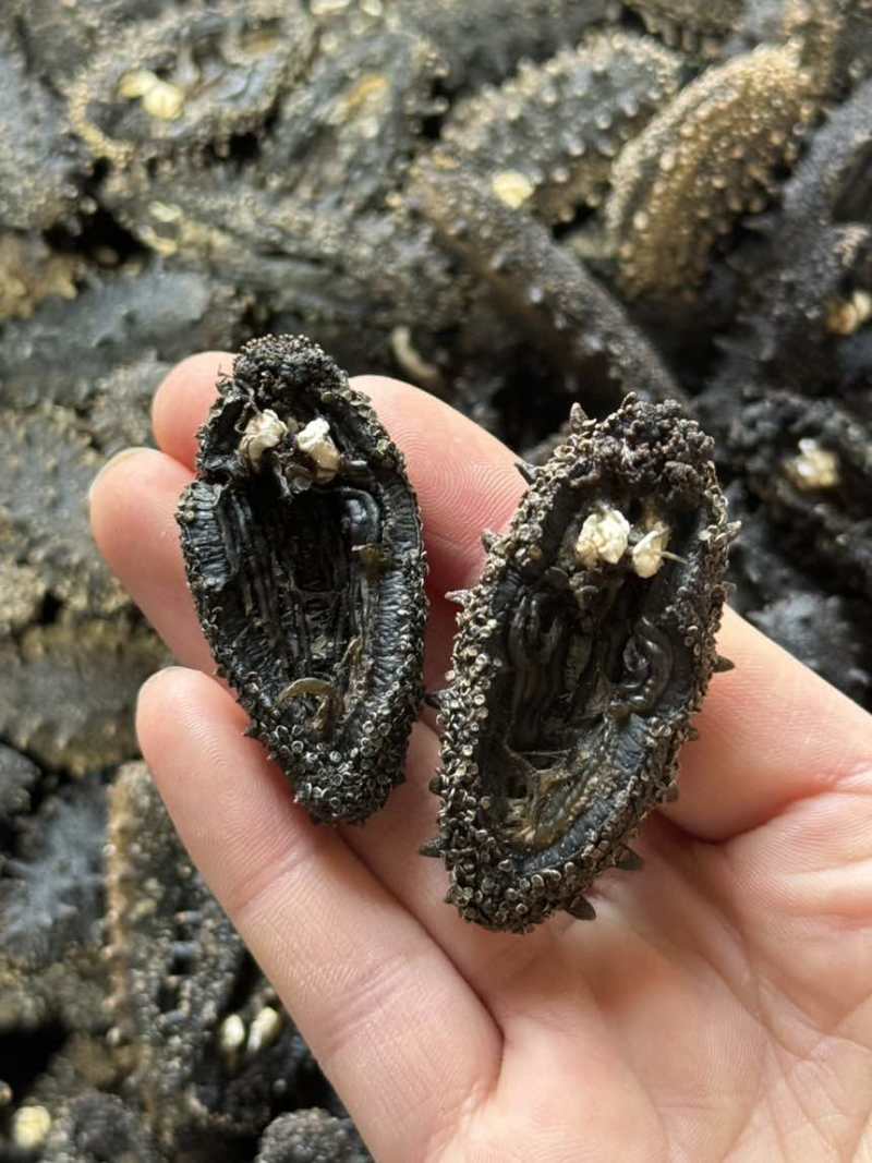 大连开口净制纯淡干海参全规格高泡发不添加